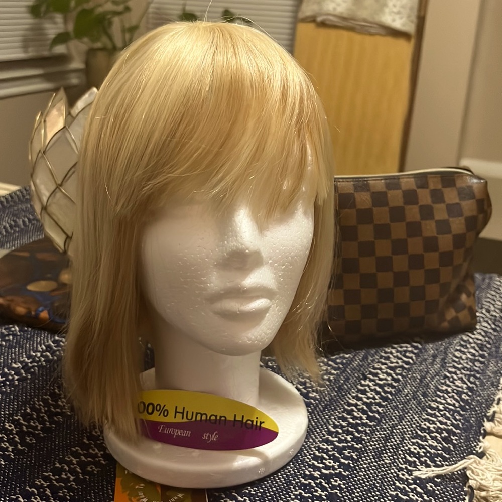 Human hair wig